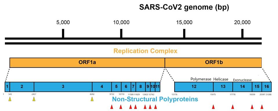 FIGURE 2