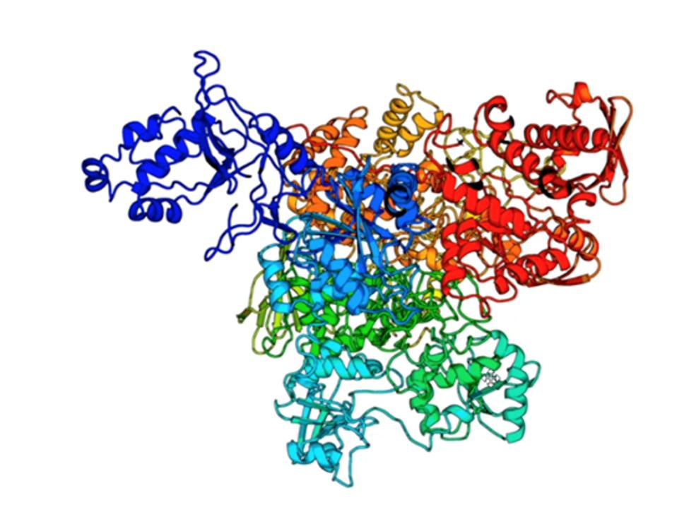 FIGURE 3