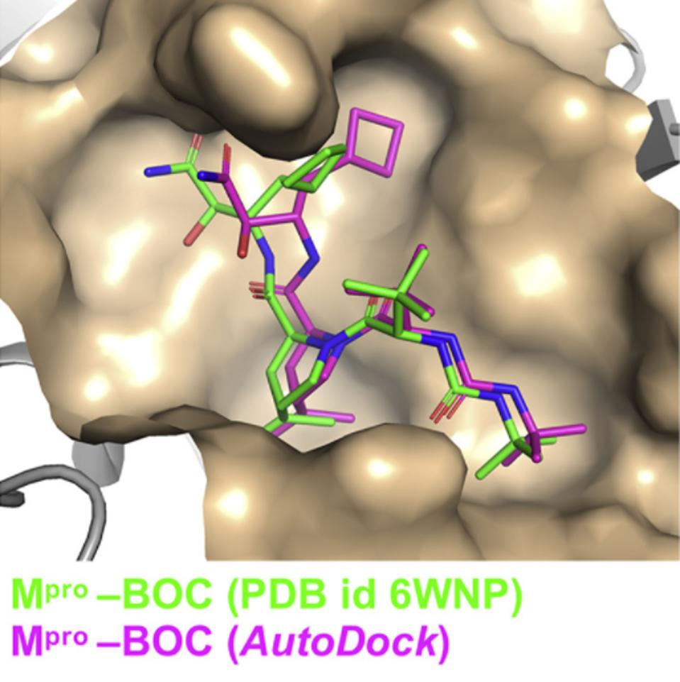 FIGURE 6