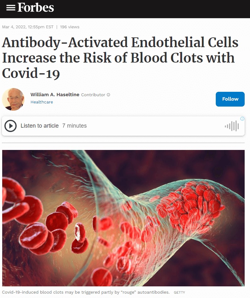 Antibody-activated endothelial cells
