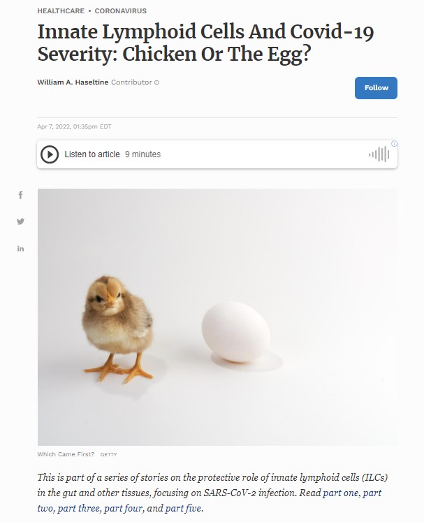 Chicken stood next to egg