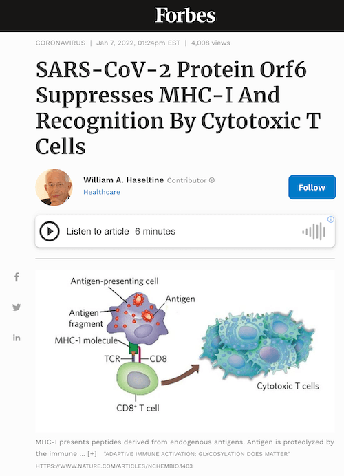 SARS-CoV-2 Protein Orf6 Suppresses MHC-I And Recognition By Cytotoxic T Cells